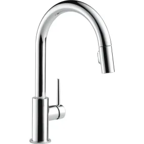 Delta Trinsic Pull-Down Kitchen Faucet 9159-DST